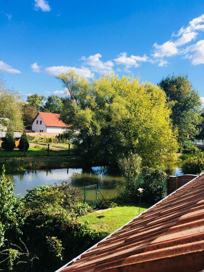 Apartmán U ZÁMECKÉ DYJE Lednice Exterior foto